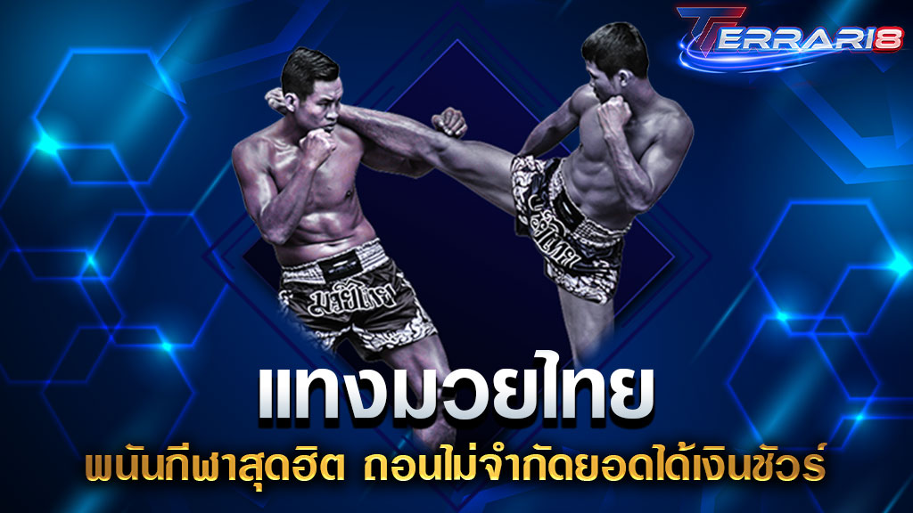 แทงมวยไทย พนันกีฬาสุดฮิต ถอนไม่จำกัดยอดได้เงินชัวร์